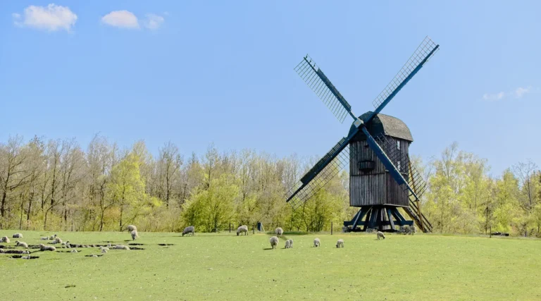 Fakten und Daten 5 tb hero bewertung ostfriesland windmuehle gespiegelt - TB Finanz & Immobilien GmbH
