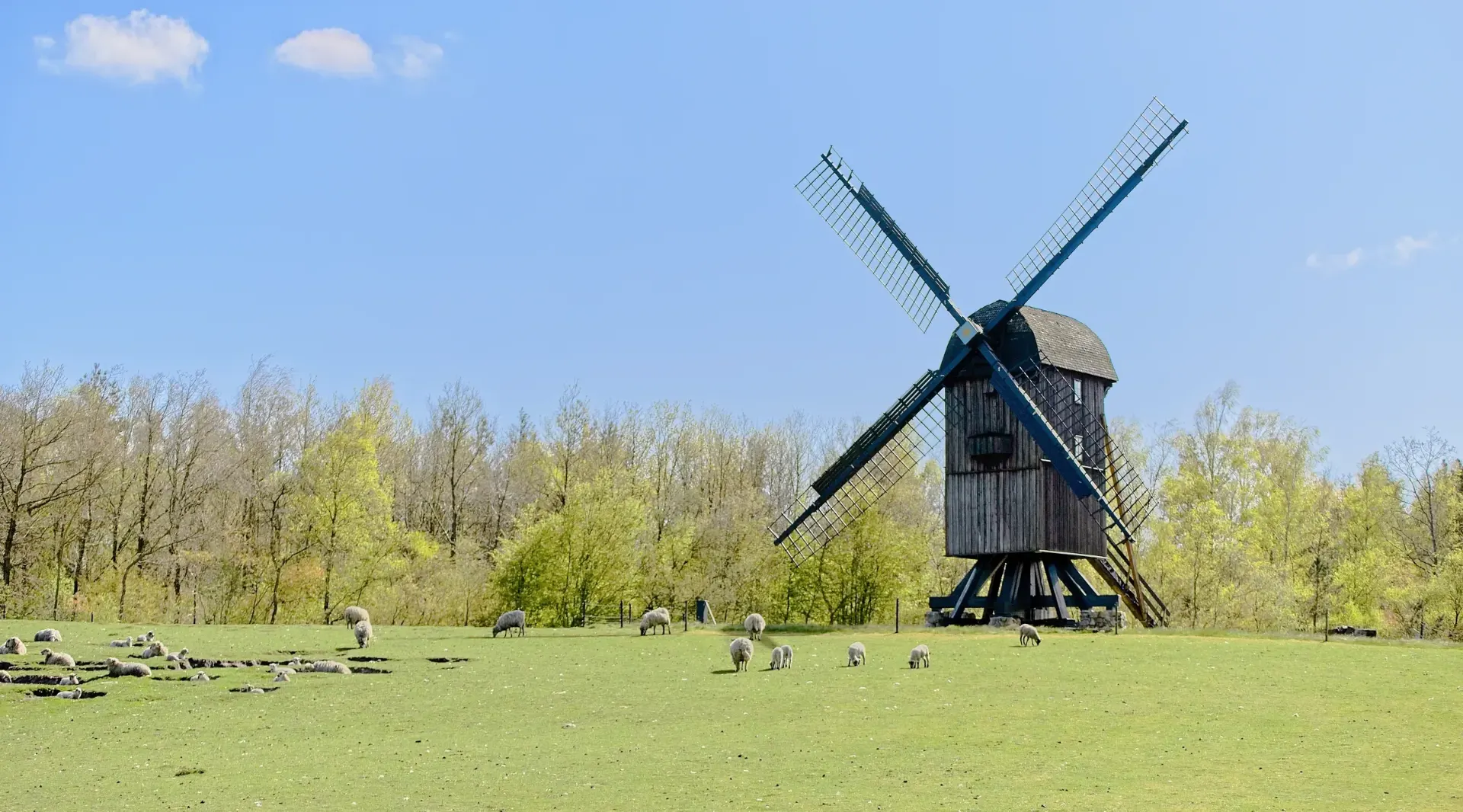 tb hero bewertung ostfriesland windmuehle gespiegelt komprimiert - TB Finanz & Immobilien GmbH