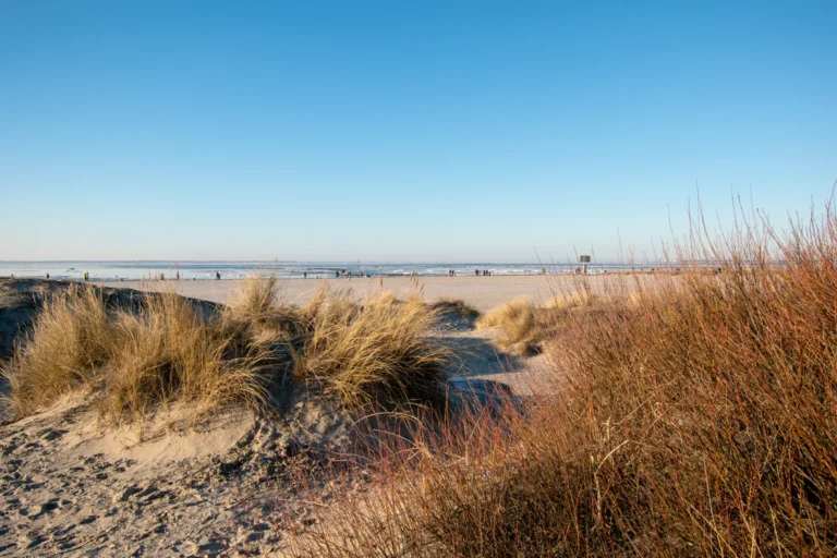 Immobilienpreise Ostfriesland 3 tb hero makler norden norddeich - TB Finanz & Immobilien GmbH
